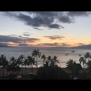 Meet your Posher, Annette